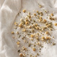 Chamomile