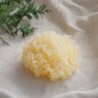 Tremella